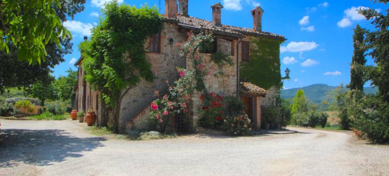 Elysian Escape - A paradise图片