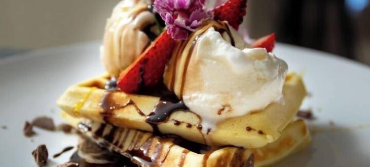 玉兰花(Magnolia Hotel)图片