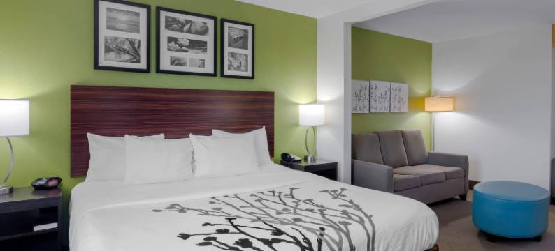 舒眠酒店及套房 - 近乔治王子堡李(Sleep Inn & Suites Prince George Near Fort Lee)图片