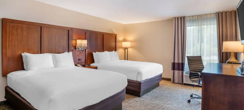 彼得斯堡舒适酒店，靠近李堡区域(Comfort Inn Petersburg Fort Lee Area)图片