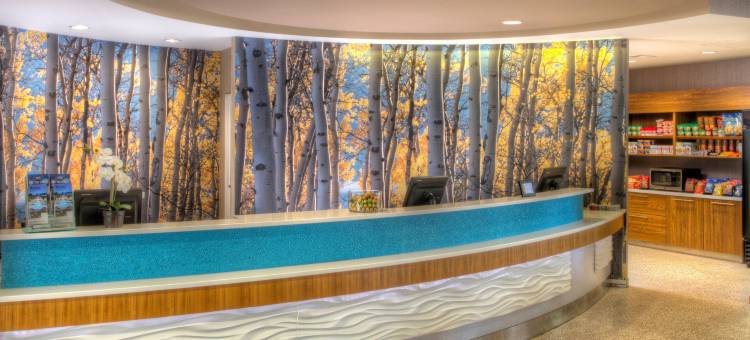 安克雷奇大学湖万豪SpringHill酒店(SpringHill Suites Anchorage University Lake)图片