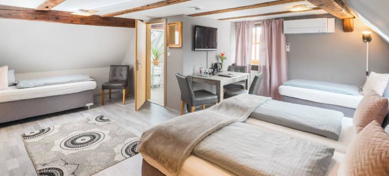 纽恩伯格霍夫酒店(Hotel Nürnberger Hof in Altdorf)图片