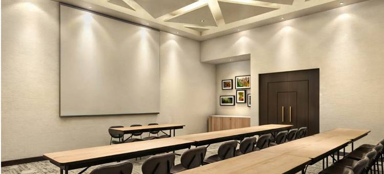 Homewood Suites By Hilton 萨尔蒂洛(Homewood Suites by Hilton Saltillo)图片