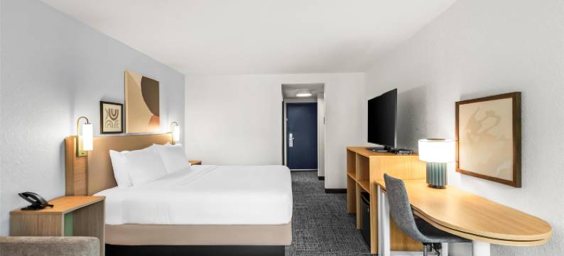 希尔顿阿尔普哈雷塔罗斯威尔Spark酒店(Spark by Hilton Alpharetta Roswell)图片