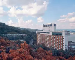 外觀