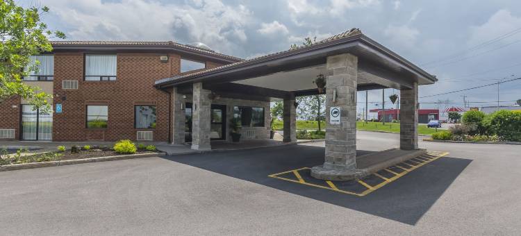 莱维斯舒适酒店(Comfort Inn)图片