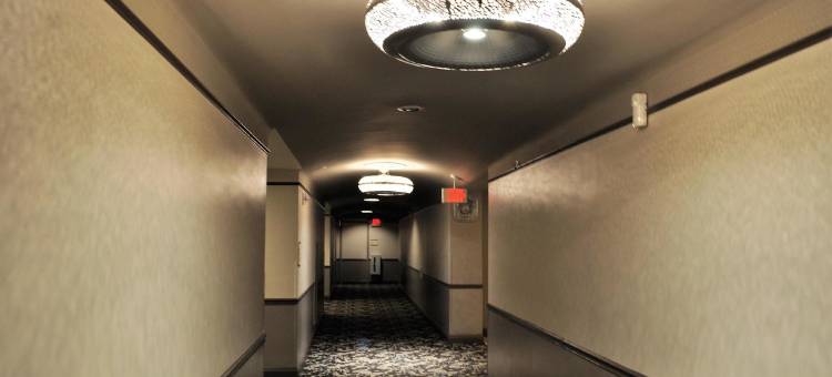 克里夫兰都铎纹章酒店-希尔顿逸林酒店(The Tudor Arms Hotel Cleveland - a DoubleTree by Hilton)图片