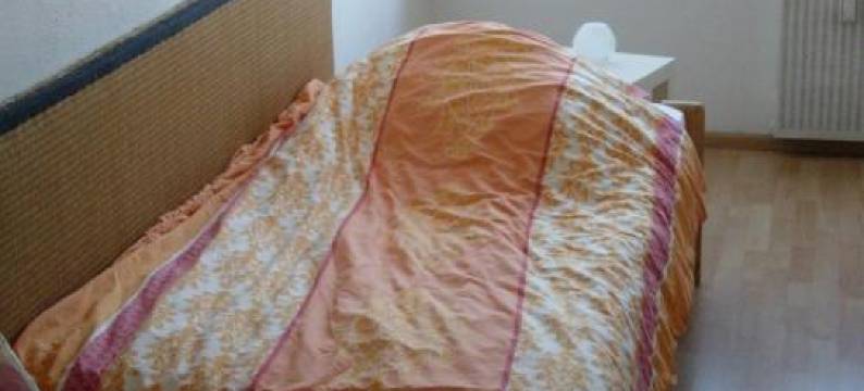 维格森布里克奥特捷恩酒店(Vogesenblick Oetjens)图片