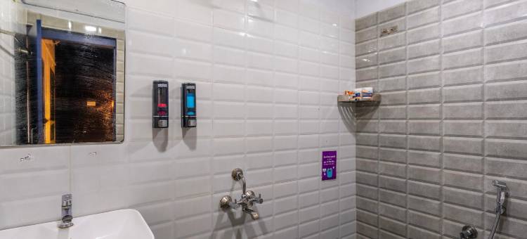 阿勒佩祖斯酒店(Zostel Alleppey)图片