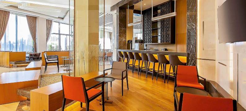 迪亚巴克尔诺富特酒店(Novotel Diyarbakir)图片