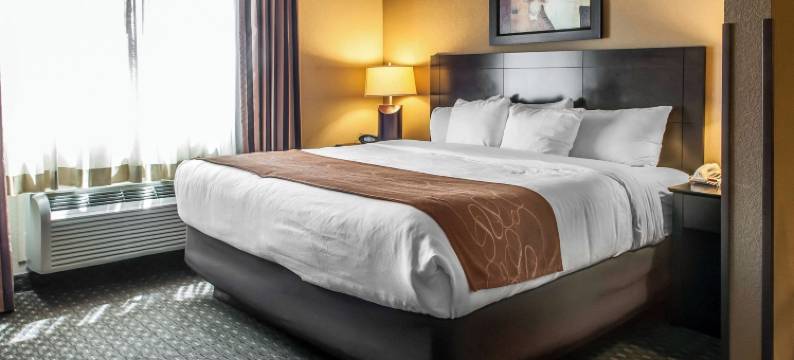 霍布斯舒适全套房酒店(Comfort Suites)图片