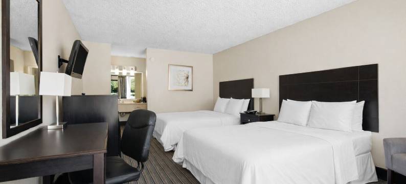 弗朗西斯酒店(Hotel Francis)图片