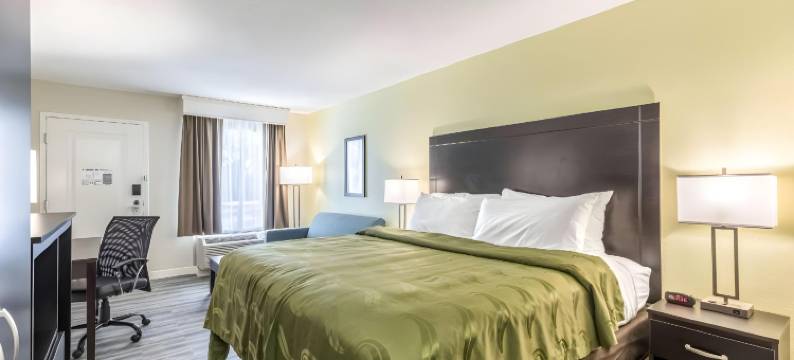 棕榈滩国际机场凯艺酒店(Quality Inn Palm Beach International Airport)图片