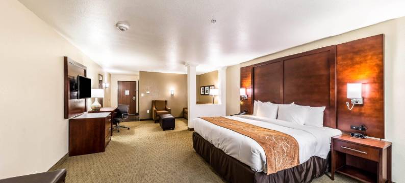 大草原城阿灵顿北部舒适套房酒店(Comfort Suites Grand Prairie - Arlington North)图片