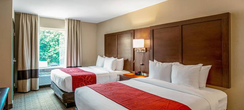 菲什基尔 84 号州际公路附近舒适全套房酒店(Comfort Suites Fishkill Near Interstate 84)图片