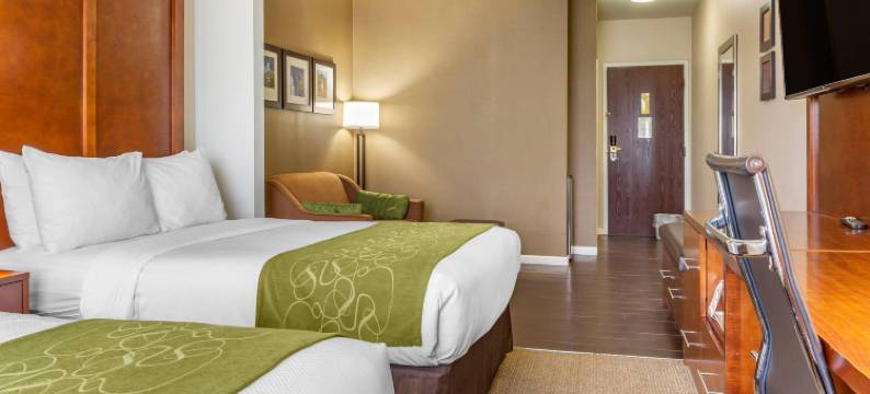 康福特套房多佛大学区(Comfort Suites Dover University Area)图片