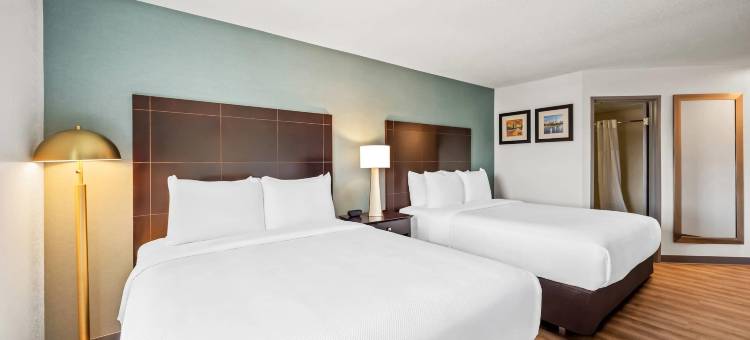 福克斯伯勒-曼斯菲尔德舒适酒店(Comfort Inn Foxboro - Mansfield)图片