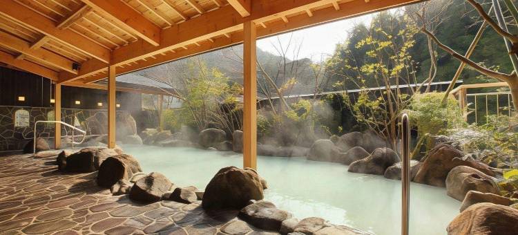青云庄水疗度假酒店(Hotel Seiunso)图片