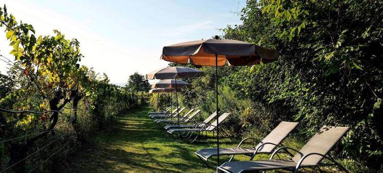 克雷姆斯水疗中心施柏阁酒店(Steigenberger Hotel and Spa, Krems)图片