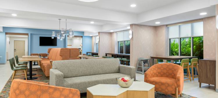 黑马克特盖恩斯维尔欢朋酒店(Hampton Inn Gainesville-Haymarket)图片