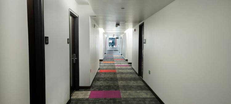 圣何塞萨瓦纳福朋喜来登酒店(Four Points by Sheraton San Jose Sabana)图片