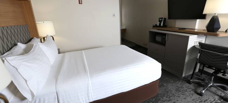 Holiday Inn & Suites 芝加哥北岸(斯科基)(Holiday Inn & Suites Chicago North Shore (Skokie))图片