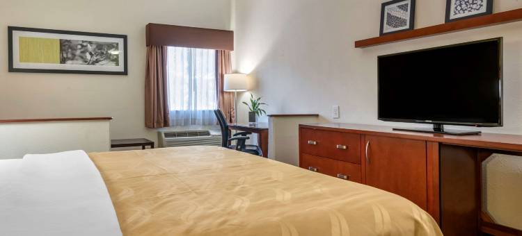 泽弗希尔斯-戴德城凯艺酒店(Quality Inn Zephyrhills-Dade City)图片