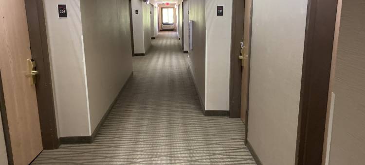 纽波特纽斯-约克镇红顶酒店(Red Roof Inn Newport News - Yorktown)图片