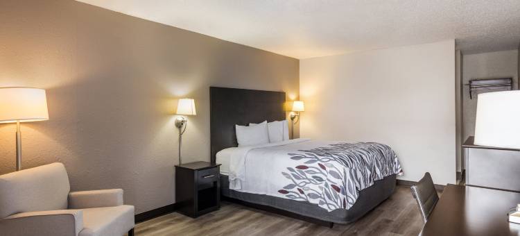 萨凡纳南边-市中心红顶酒店(Red Roof Inn Savannah - Southside/ Midtown)图片