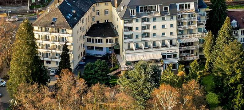 陶纳斯公园酒店(Parkhotel am Taunus)图片