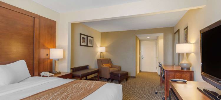 西南休斯顿舒格兰舒适套房酒店(Comfort Inn & Suites SW Houston Sugarland)图片
