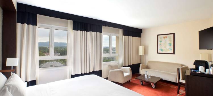 NH坎希勒阿亚拉维多利亚酒店(NH Canciller Ayala Vitoria)图片