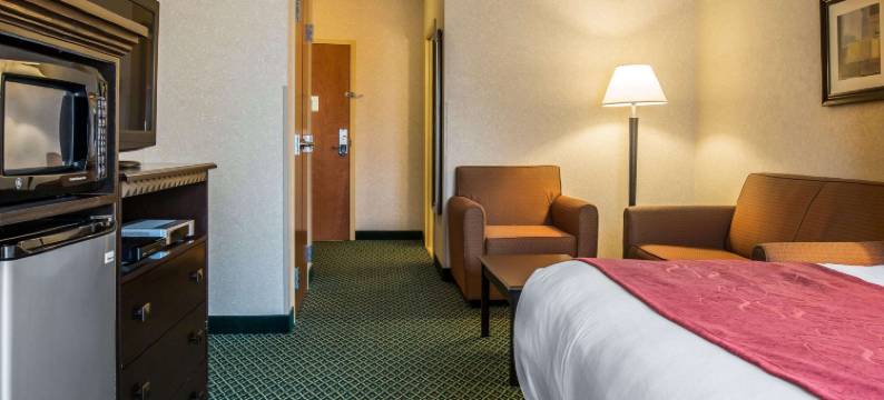 坎顿舒适套房酒店(Comfort Suites)图片