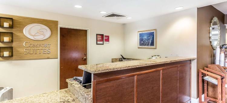 默特尔比奇中央舒适套房酒店(Comfort Suites Myrtle Beach Central)图片