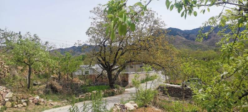 城南院子南山柳埠镇民宿(窝黄路分店)图片