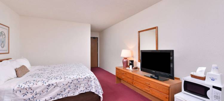 国际瀑布城美洲最佳价值套房酒店(Americas Best Value Inn and Suites International Falls)图片
