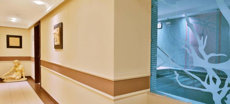 太阳宫健康酒店(Sun Palace Wellness Hotel)图片