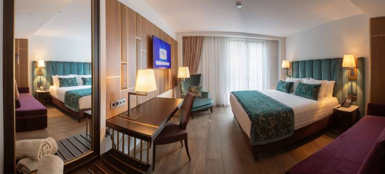 艾尔克 SPA 饭店(Elke Spa Hotel Superior)图片
