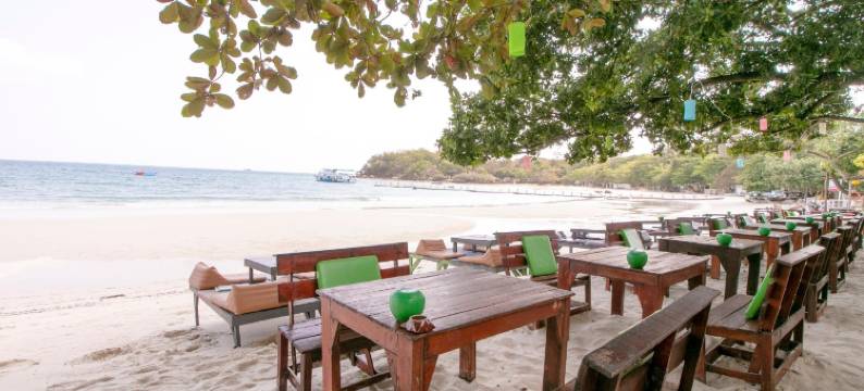 绿地-沙美海马(Greenplace-Samed Seahorse)图片