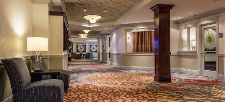 莱尔内珀维尔希尔顿逸林酒店(DoubleTree by Hilton Lisle Naperville)图片