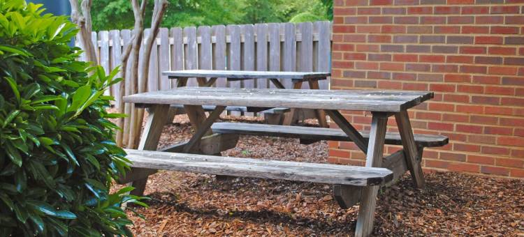 东蒙哥马利 I-85 郊区小套房酒店(Suburban Studios Montgomery East I-85)图片