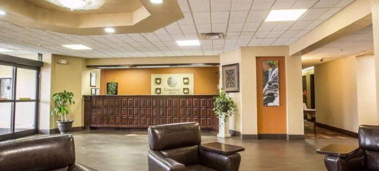 阿什维尔机场舒适酒店(Comfort Inn Asheville Airport)图片