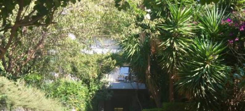 A2 Cute Vouliagmeni Apt in a Unique Spot图片