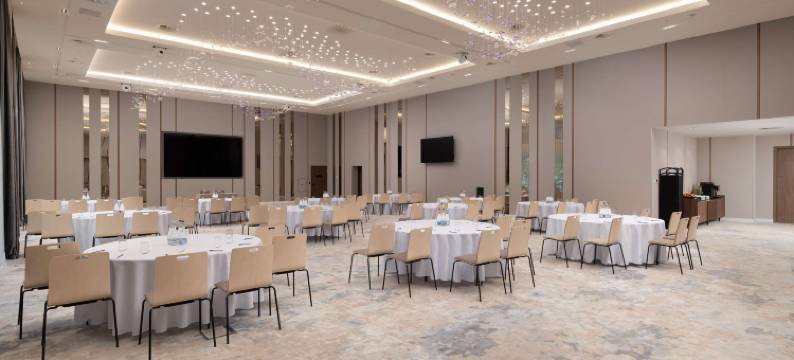 克卢日丽笙酒店(Radisson Blu Hotel, Cluj)图片