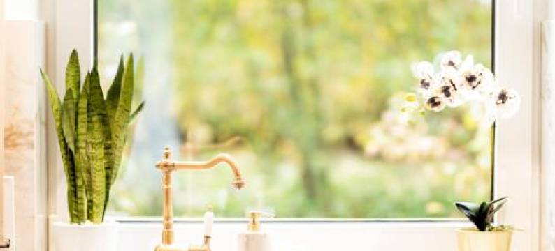 Apartament Mała Wenecja图片