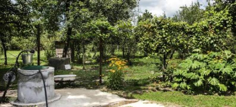 Daraselia Family Guesthouse图片