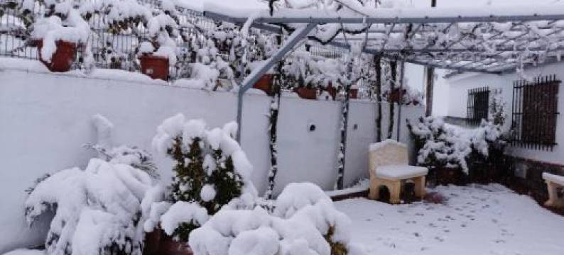 公寓(Cueva Tradicional El Capricho)图片