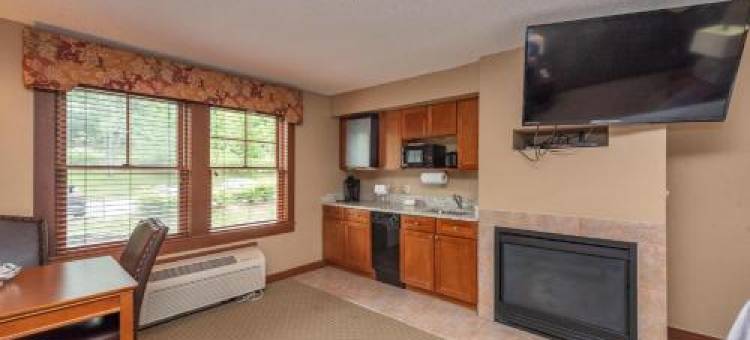 A214 Studio Standard View图片