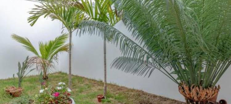 Pousada São Francisco图片