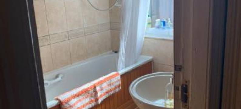 松林旅馆(The Pines Guest House)图片